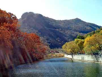 新澳天天开奖资料大全旅游团，水上气球